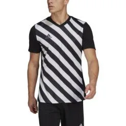 Adidas Men's Entrada 22 Graphic Jersey